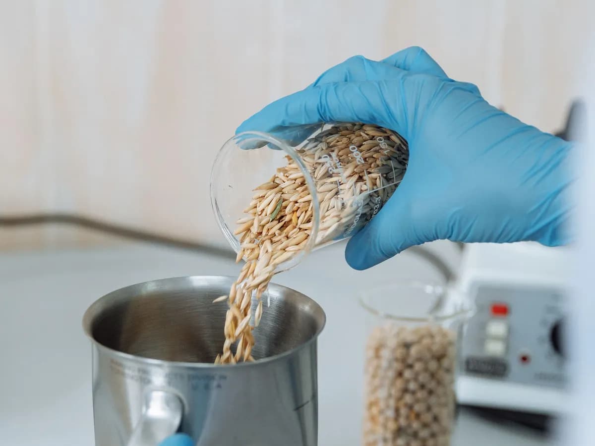 Food quality testing in a laboratory